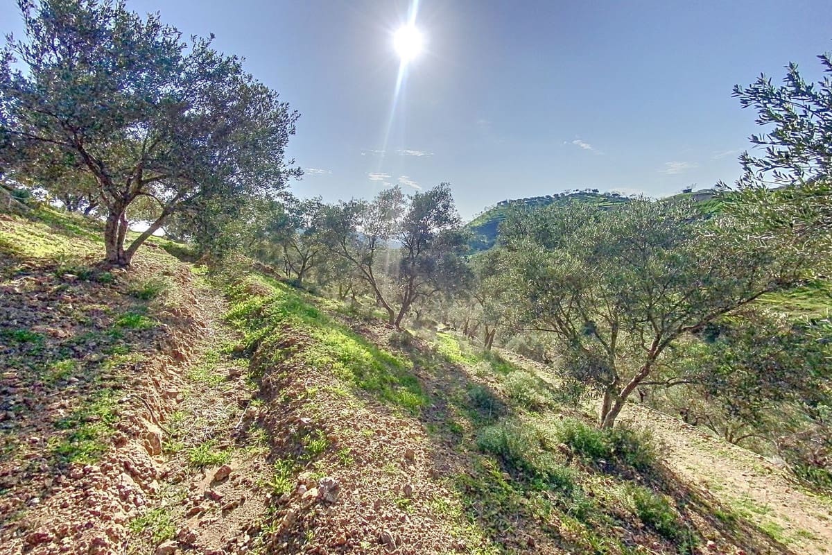 6 Zimmer Finca/Landgut zu verkaufen in Pizarra mit Garage - 450.000 € (Ref: 9713867)