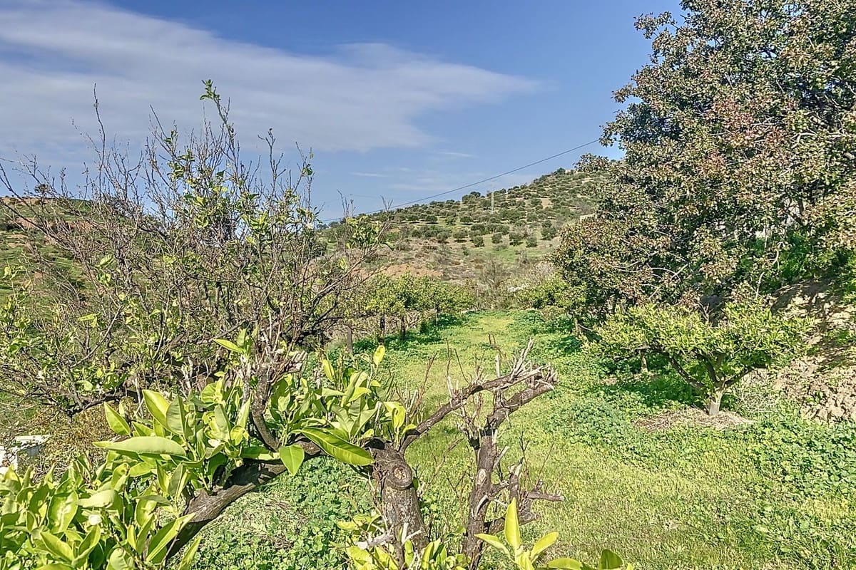 6 Zimmer Finca/Landgut zu verkaufen in Pizarra mit Garage - 450.000 € (Ref: 9713867)