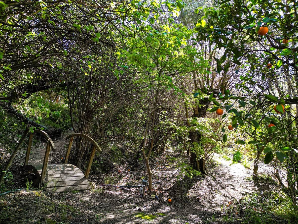 9 chambre Villa/Maison à vendre à Melegis avec piscine garage - 1 150 000 € (Ref: 9719363)