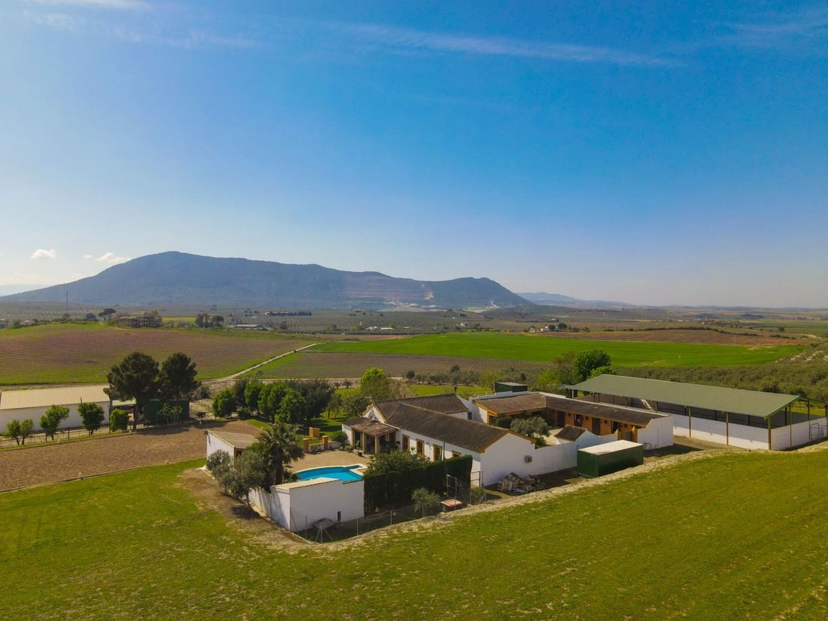 6 soveværelse Finca/Landehus til salg i Moron de la Frontera med swimmingpool garage - € 695.000 (Ref: 9720713)