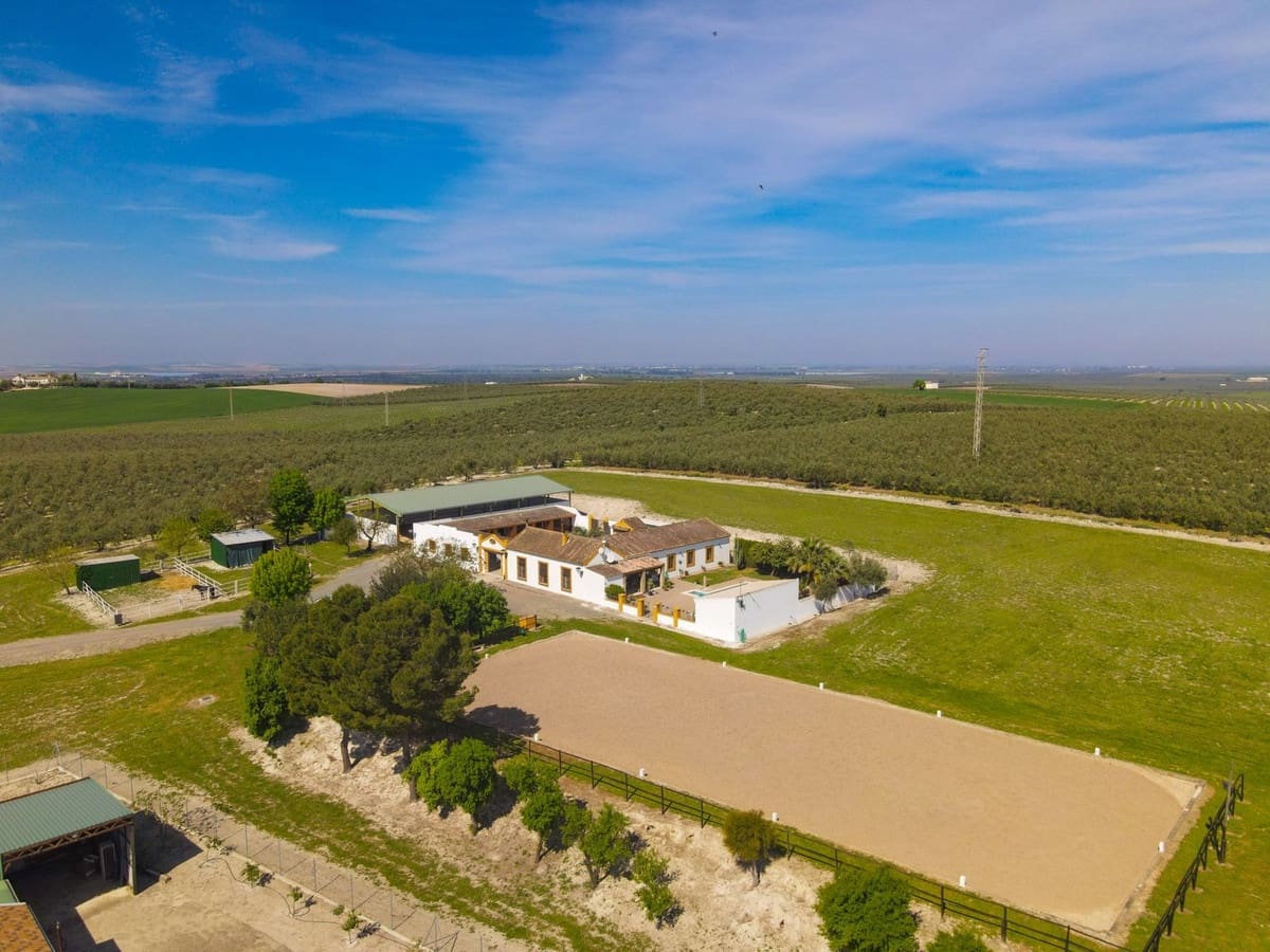 6 soveværelse Finca/Landehus til salg i Moron de la Frontera med swimmingpool garage - € 695.000 (Ref: 9720713)