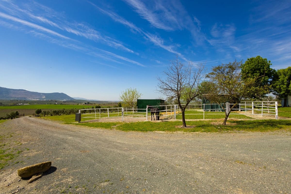 6 soveværelse Finca/Landehus til salg i Moron de la Frontera med swimmingpool garage - € 695.000 (Ref: 9720713)