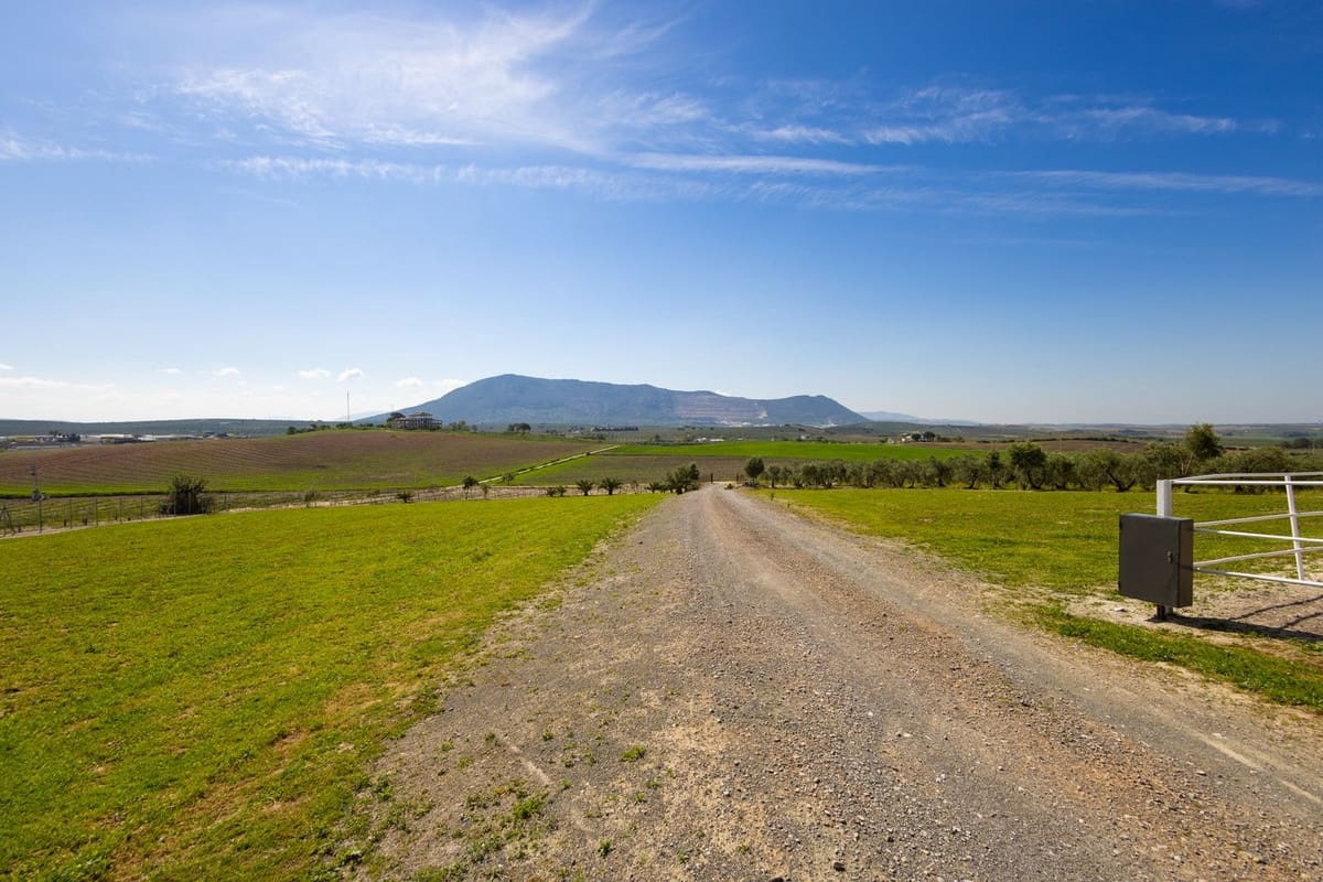 6 soveværelse Finca/Landehus til salg i Moron de la Frontera med swimmingpool garage - € 695.000 (Ref: 9720713)