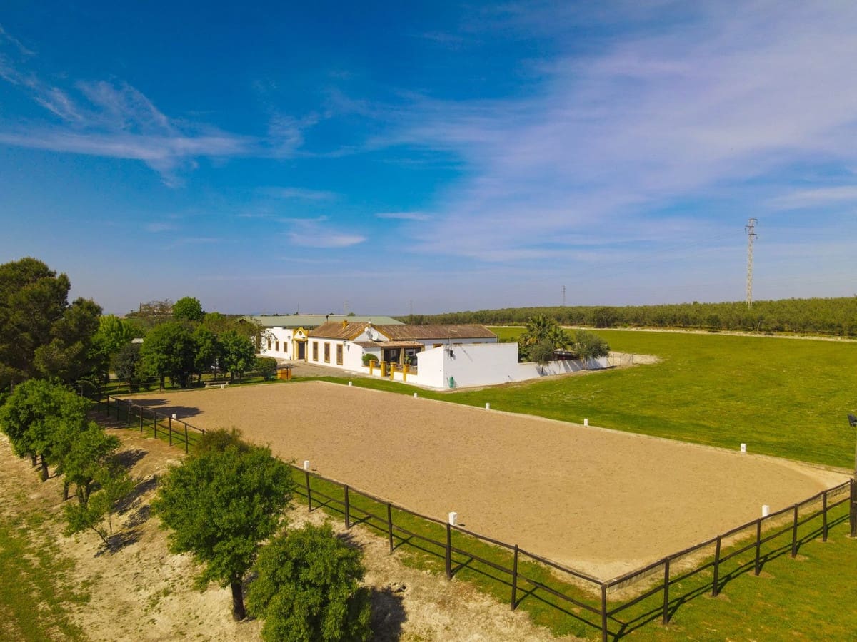 6 soveværelse Finca/Landehus til salg i Moron de la Frontera med swimmingpool garage - € 695.000 (Ref: 9720713)