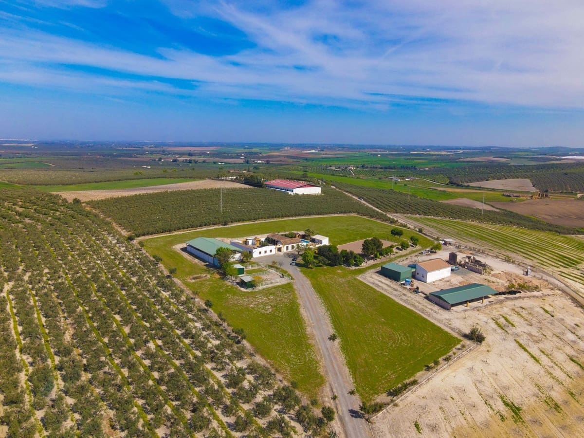 6 soveværelse Finca/Landehus til salg i Moron de la Frontera med swimmingpool garage - € 695.000 (Ref: 9720713)