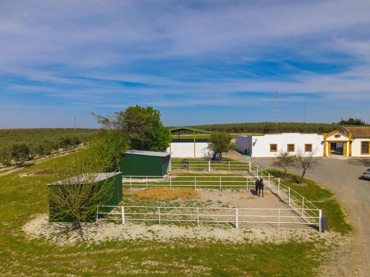 6 soveværelse Finca/Landehus til salg i Moron de la Frontera med swimmingpool garage - € 695.000 (Ref: 9720713)