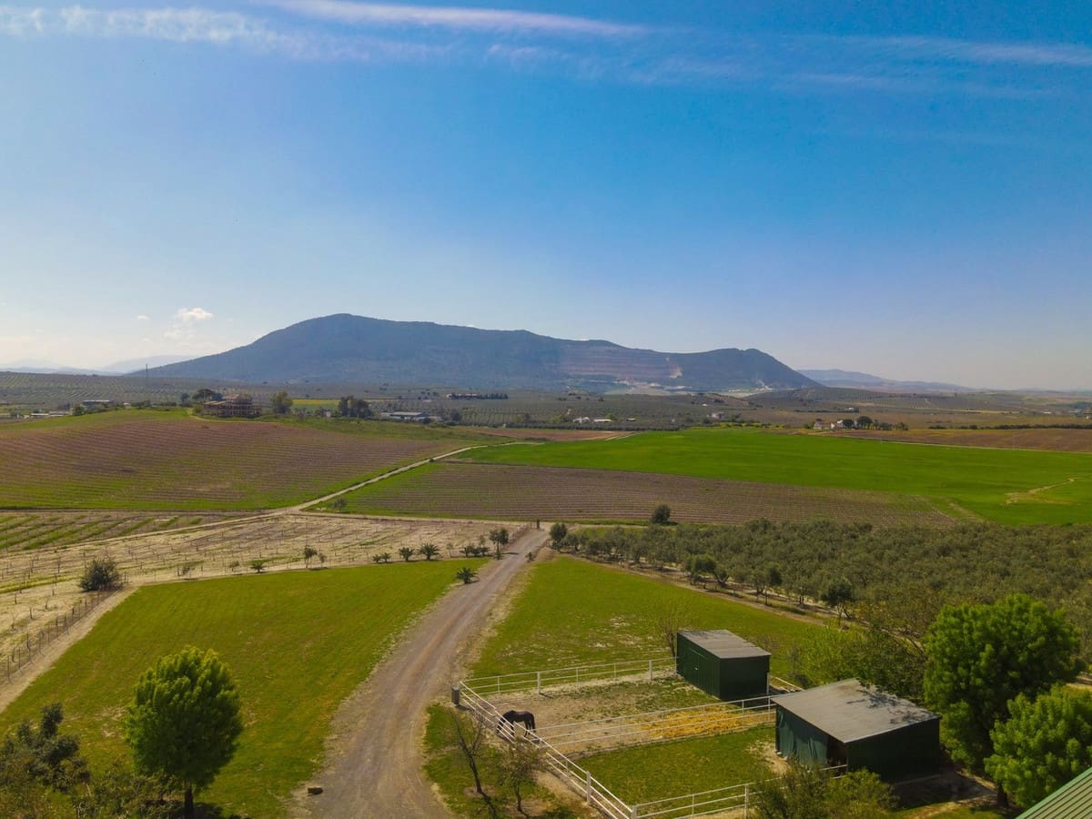 6 soveværelse Finca/Landehus til salg i Moron de la Frontera med swimmingpool garage - € 695.000 (Ref: 9720713)