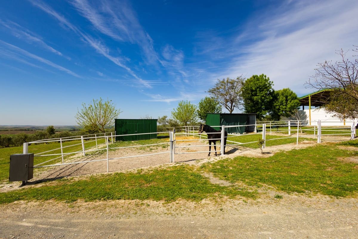 6 soveværelse Finca/Landehus til salg i Moron de la Frontera med swimmingpool garage - € 695.000 (Ref: 9720713)