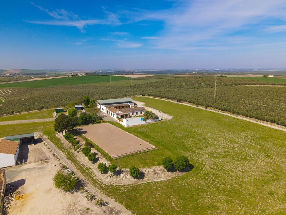 6 soveværelse Finca/Landehus til salg i Moron de la Frontera med swimmingpool garage - € 695.000 (Ref: 9720713)