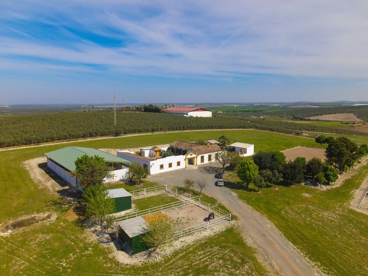 6 soveværelse Finca/Landehus til salg i Moron de la Frontera med swimmingpool garage - € 695.000 (Ref: 9720713)