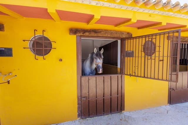 6 Zimmer Finca/Landgut zu verkaufen in Morón de la Frontera mit Pool Garage - 699.000 € (Ref: 9720713)