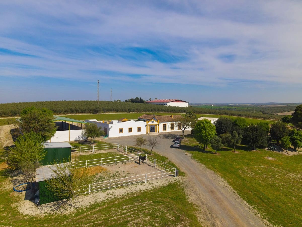 6 soverom Finca/Herregård til salgs i Moron de la Frontera med svømmebasseng garasje - € 699 000 (Ref: 9720713)