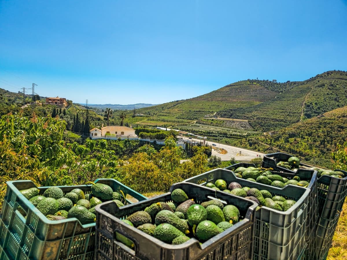 1 soverom Villa til salgs i Vinuela med garasje - € 420 000 (Ref: 9755189)