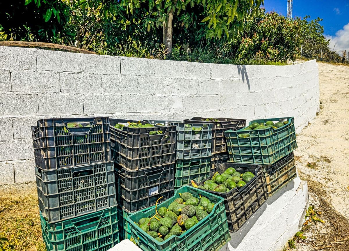 1 soverom Villa til salgs i Vinuela med garasje - € 420 000 (Ref: 9755189)