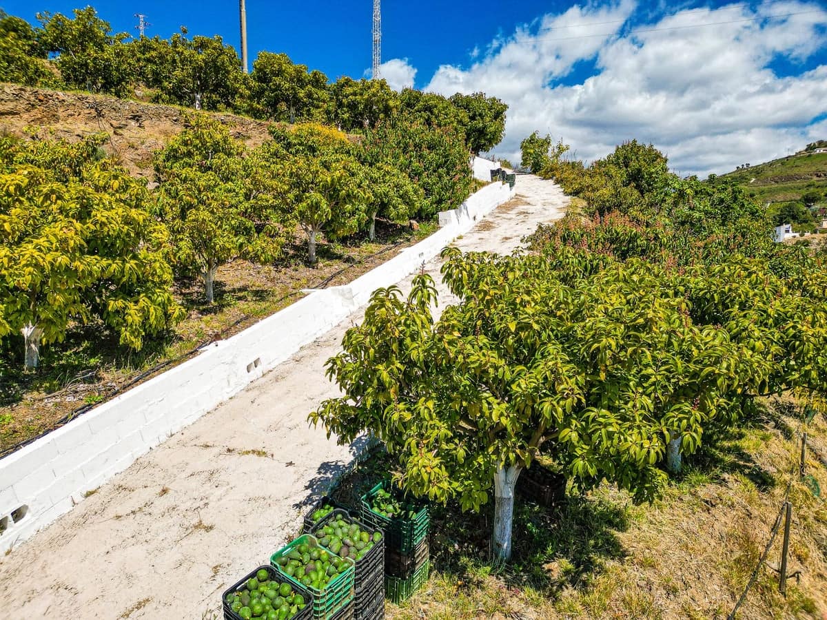 1 soverom Villa til salgs i Vinuela med garasje - € 420 000 (Ref: 9755189)