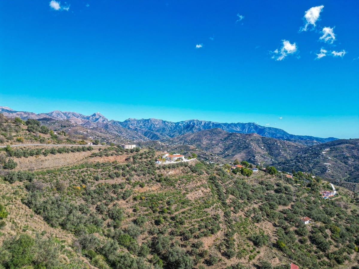 Chalet de 5 habitaciones en Sayalonga en venta con piscina garaje - 775.000 € (Ref: 9783271)