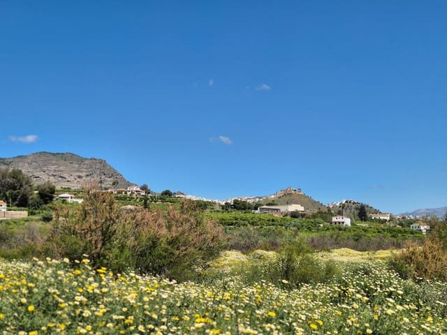 Rakentamaton maa myytävänä paikassa Alora - 58 000 € (Ref: 9789622)