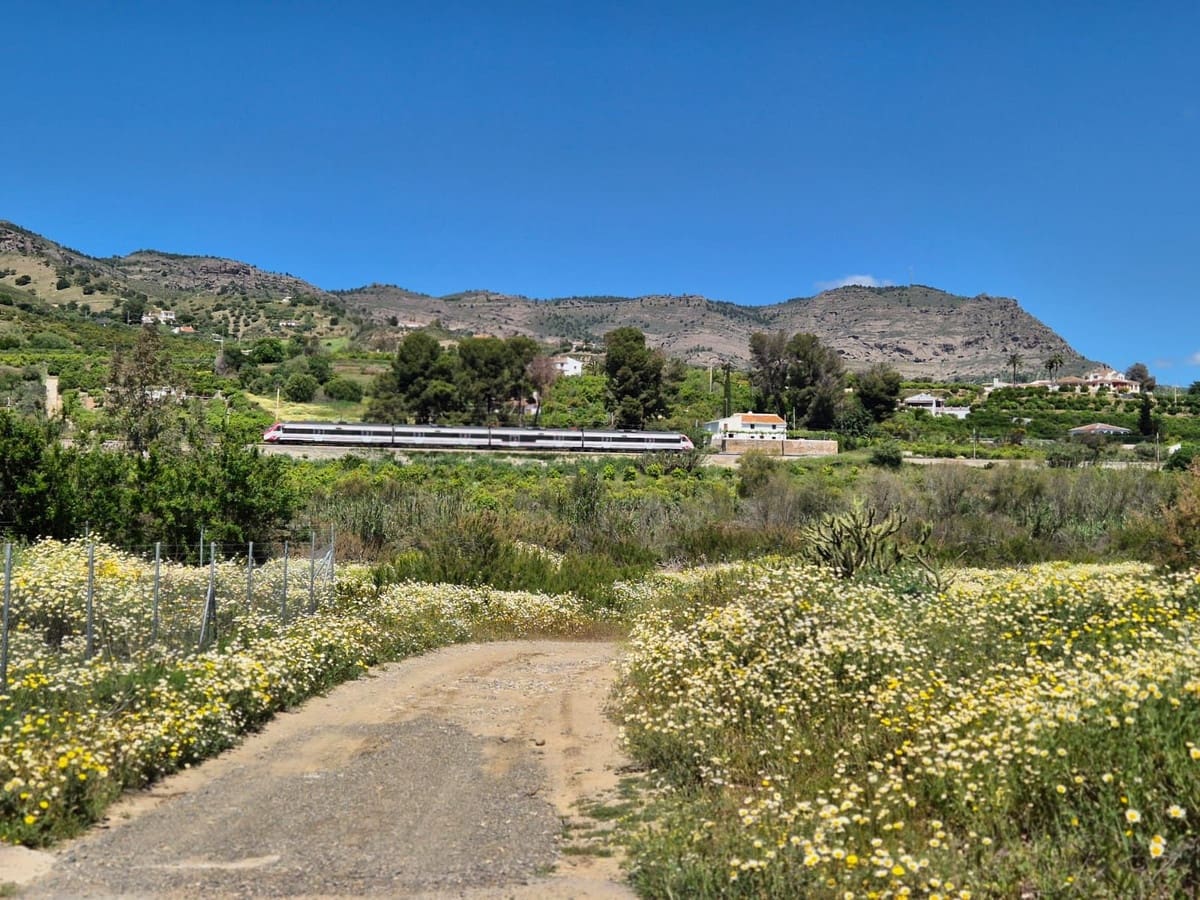 Rakentamaton maa myytävänä paikassa Alora - 58 000 € (Ref: 9789622)