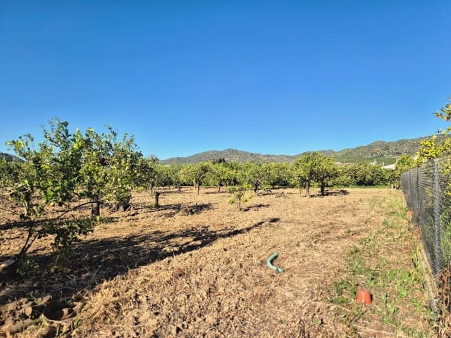 Rakentamaton maa myytävänä paikassa Alora - 58 000 € (Ref: 9789622)