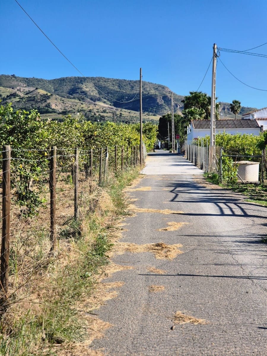 Rakentamaton maa myytävänä paikassa Alora - 58 000 € (Ref: 9789622)