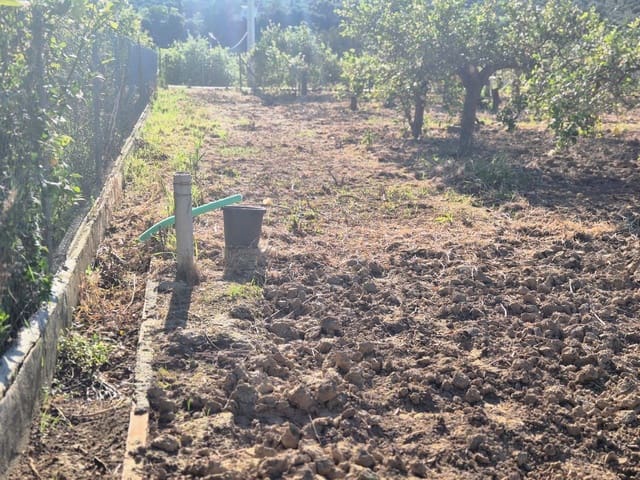 Rakentamaton maa myytävänä paikassa Alora - 58 000 € (Ref: 9789622)