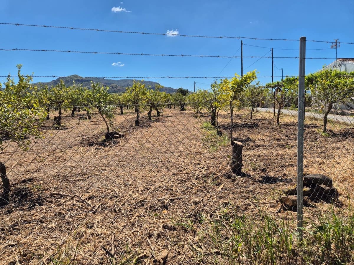 Rakentamaton maa myytävänä paikassa Alora - 58 000 € (Ref: 9789622)