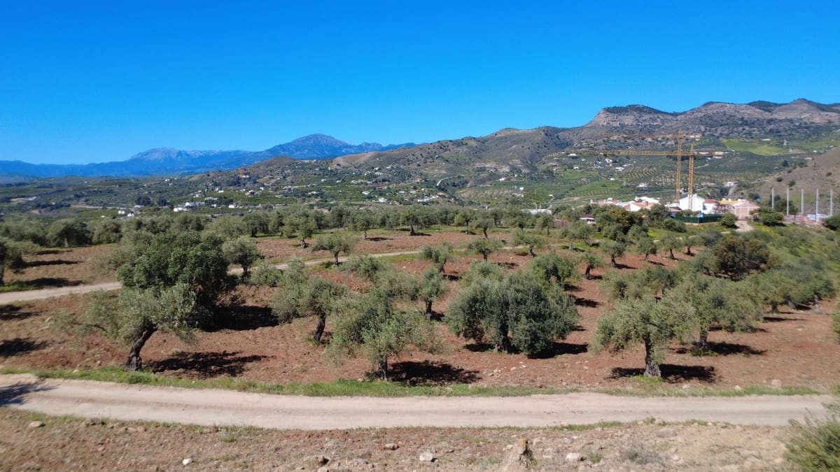 Byggegrund til salg i Alora - € 980.000 (Ref: 9789623)