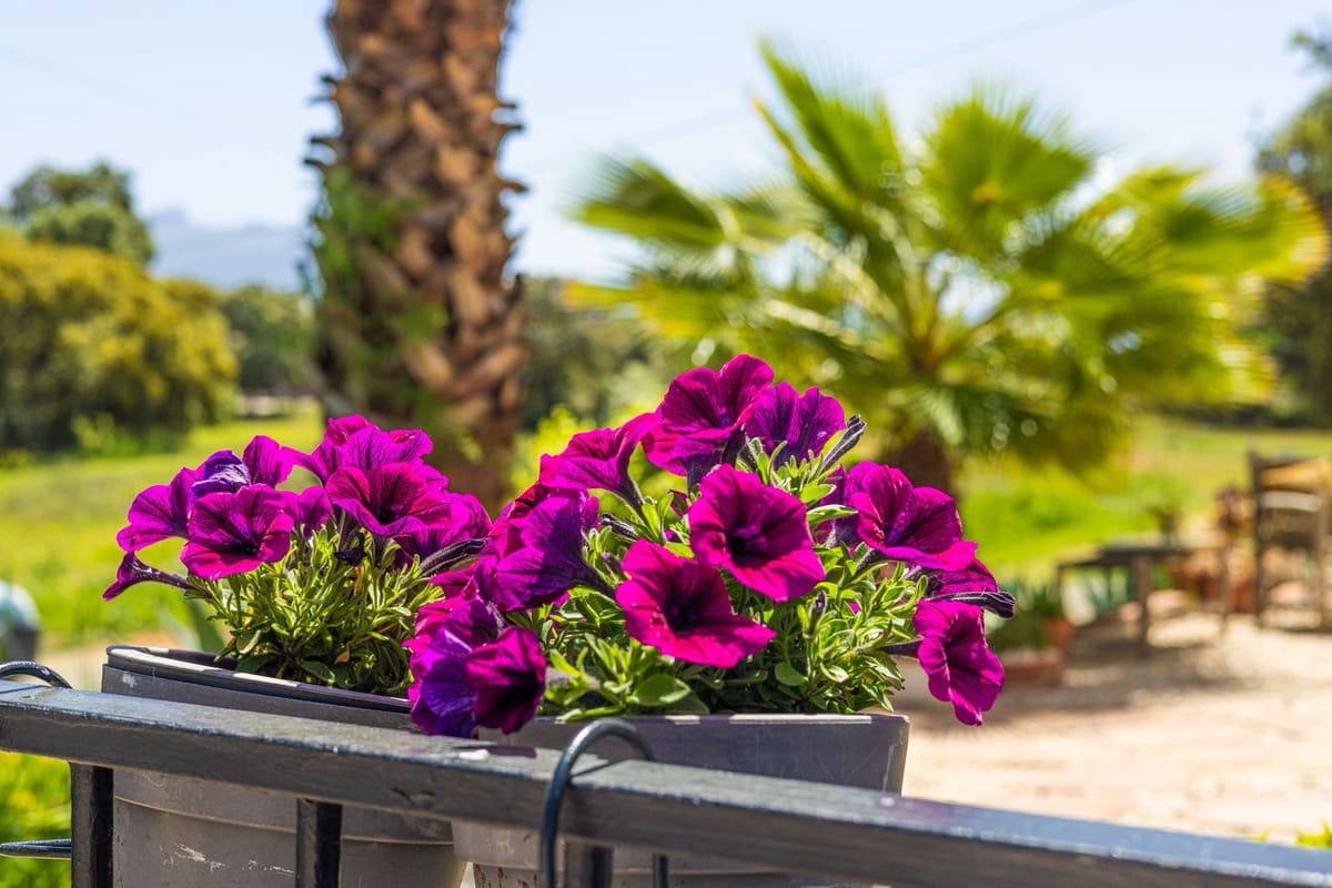 6 soveværelse Villa til salg i Archidona med swimmingpool garage - € 480.000 (Ref: 9795613)