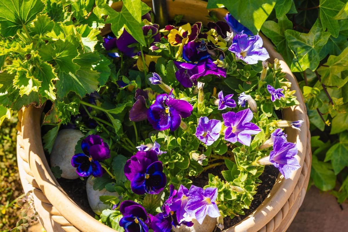 8 Zimmer Finca/Landgut zu verkaufen in Villanueva del Trabuco mit Pool Garage - 875.000 € (Ref: 9801469)