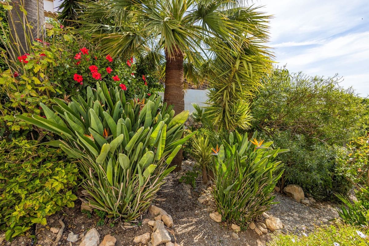 4 slaapkamer Villa te koop in Salobrena met zwembad garage - € 945.000 (Ref: 9808569)