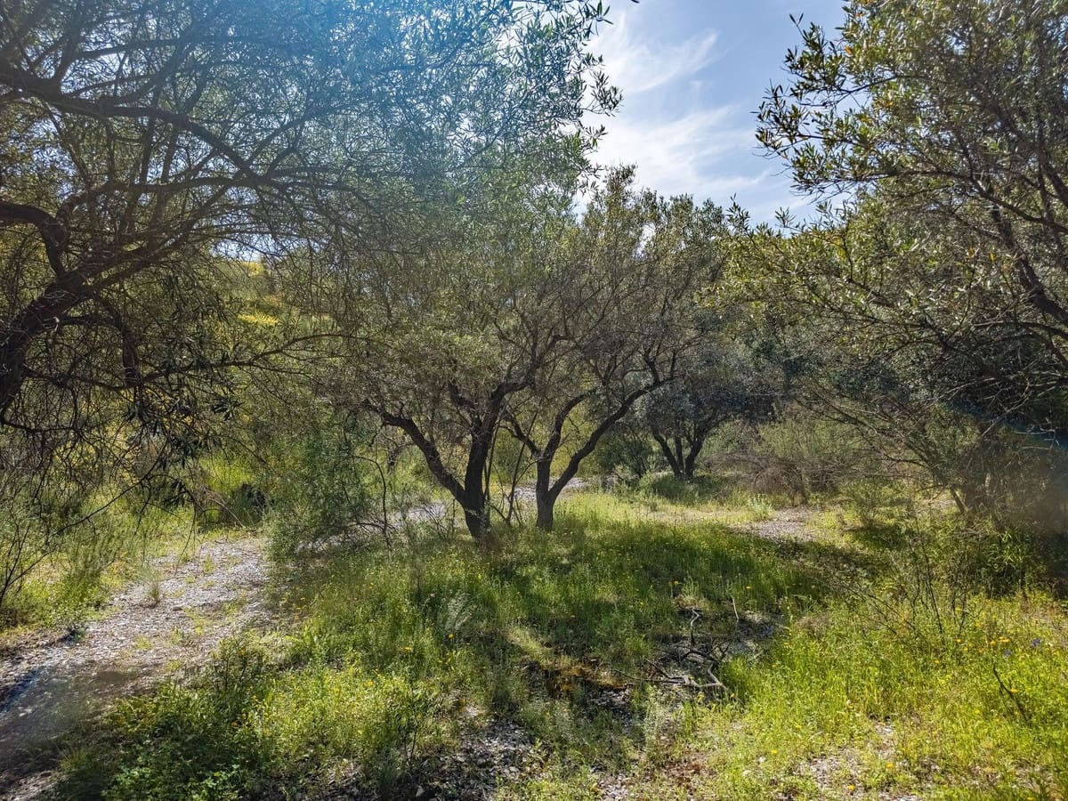 3 sovrum Finca/Hus på landet till salu i Velez de Benaudalla med pool garage - 239 000 € (Ref: 9819208)