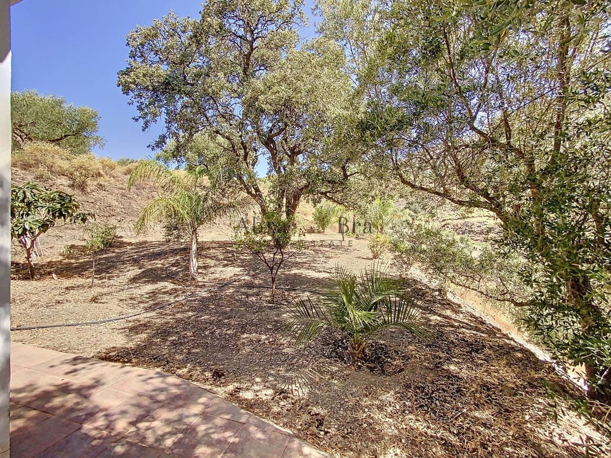 Chalet de 3 habitaciones en Canillas de Aceituno en venta con garaje - 265.000 € (Ref: 9834244)