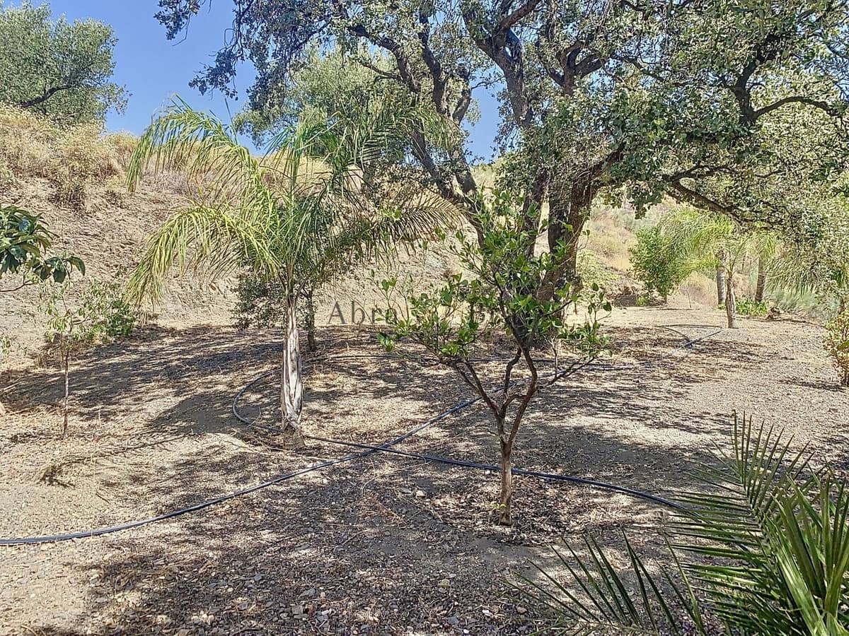 Chalet de 3 habitaciones en Canillas de Aceituno en venta con garaje - 265.000 € (Ref: 9834244)