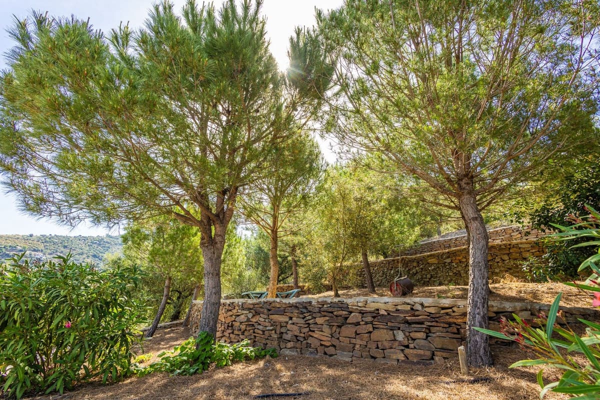 6 bedroom Villa for sale in Sayalonga with pool garage - € 890,000 (Ref: 9860659)