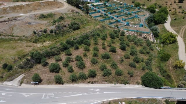 Undeveloped Land for sale in Alozaina - € 35,000 (Ref: 9861253)
