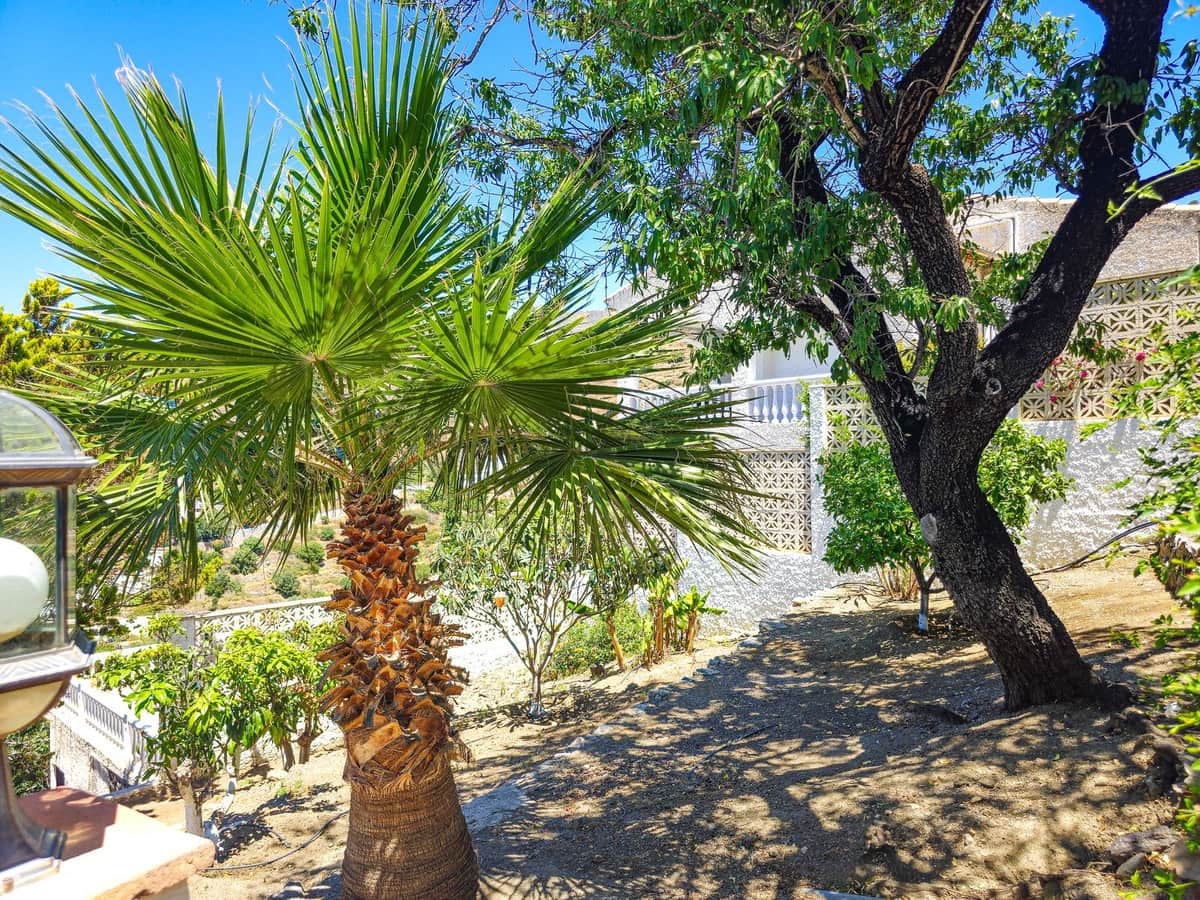 4 soverom Villa til salgs i Almunecar med svømmebasseng garasje - € 575 000 (Ref: 9877234)