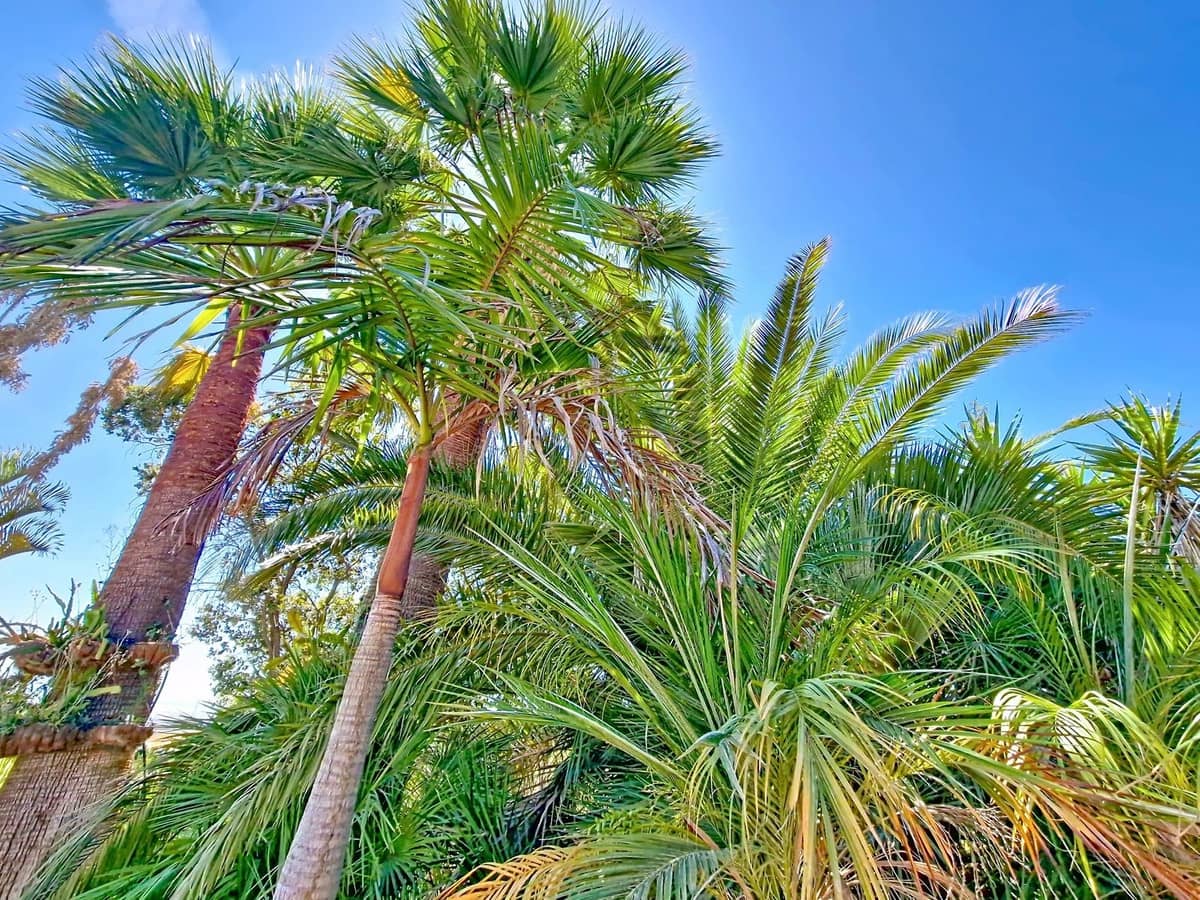 4 bedroom Finca/Country House for sale in Velez-Malaga with pool garage - € 795,000 (Ref: 9899838)