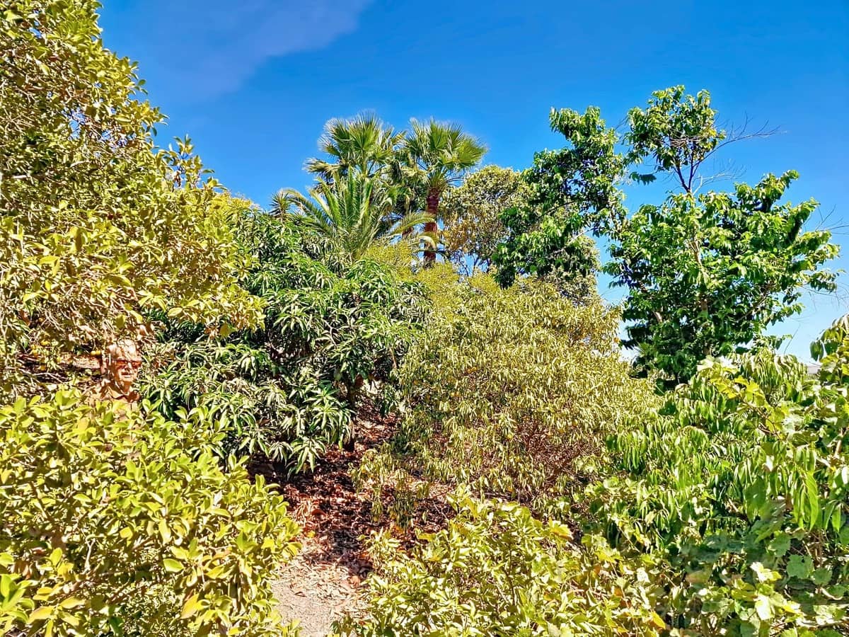 4 bedroom Finca/Country House for sale in Velez-Malaga with pool garage - € 795,000 (Ref: 9899838)