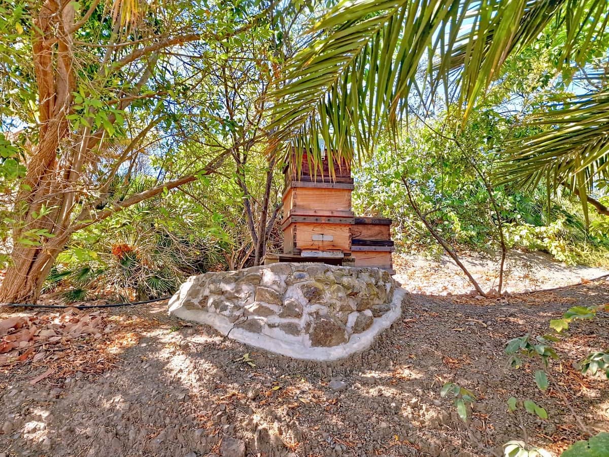 4 bedroom Finca/Country House for sale in Velez-Malaga with pool garage - € 795,000 (Ref: 9899838)