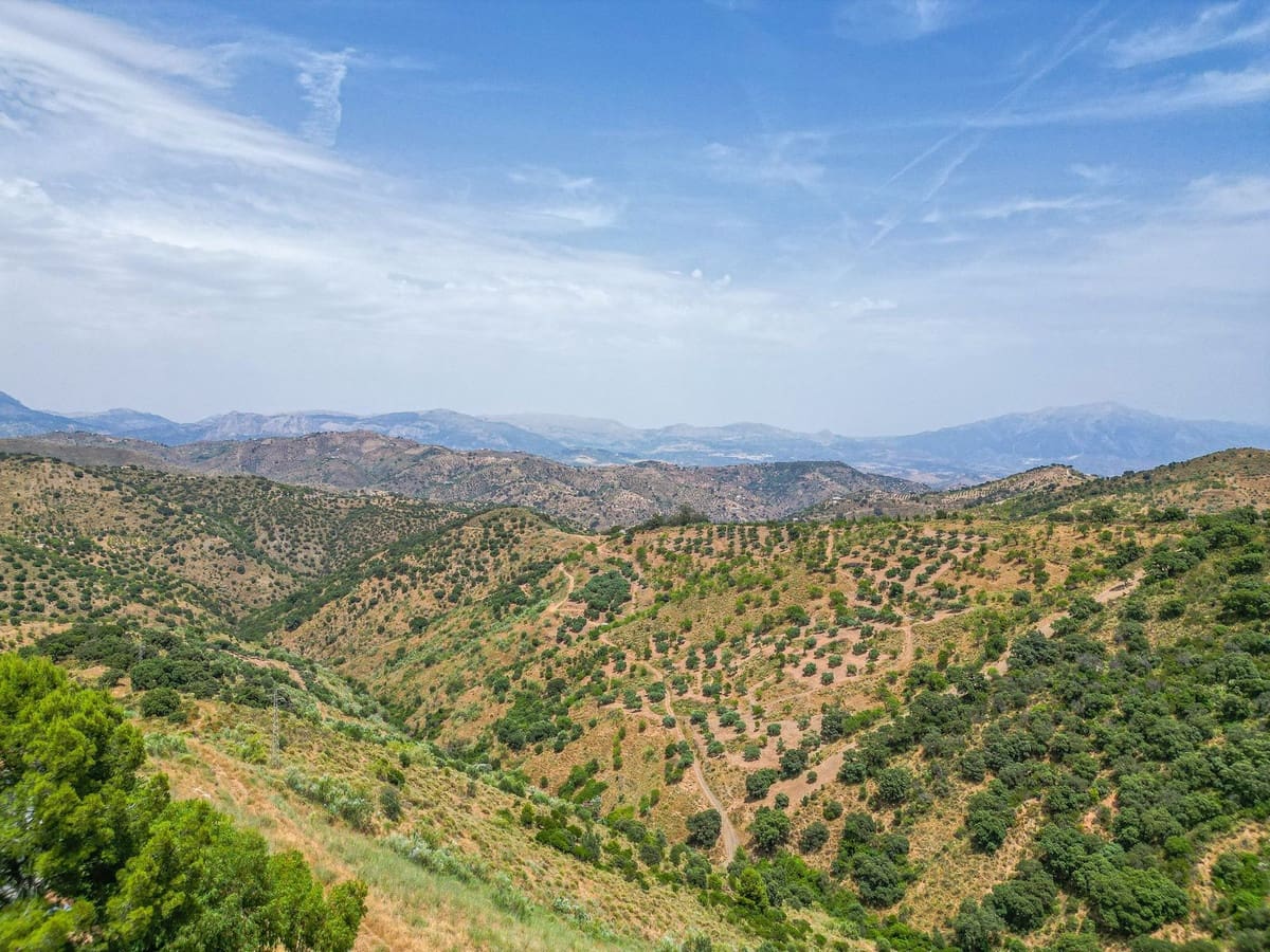 Finca/Casa Rural de 8 habitaciones en Colmenar en venta con piscina garaje - 1.195.000 € (Ref: 9937214)