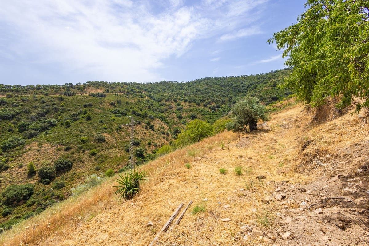 Finca/Casa Rural de 8 habitaciones en Colmenar en venta con piscina garaje - 1.195.000 € (Ref: 9937214)
