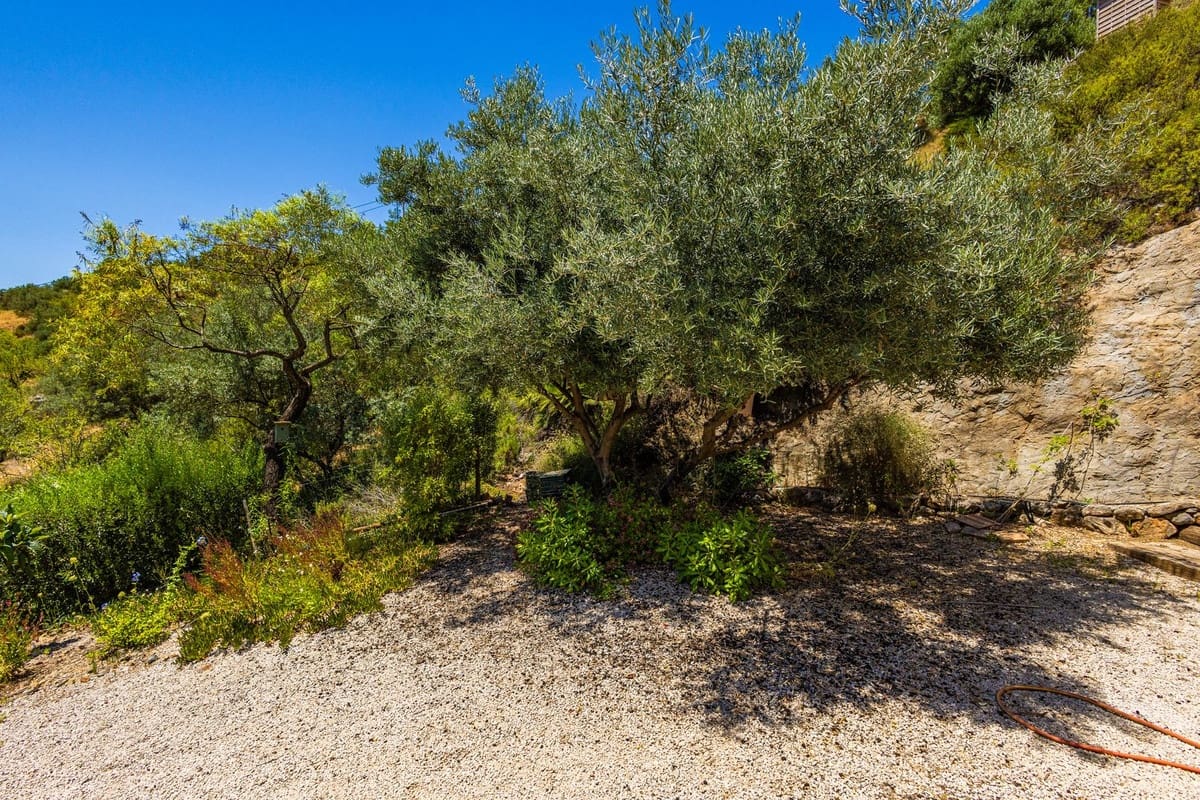 Chalet de 4 habitaciones en Alcaucín en venta con piscina garaje - 499.000 € (Ref: 9954599)