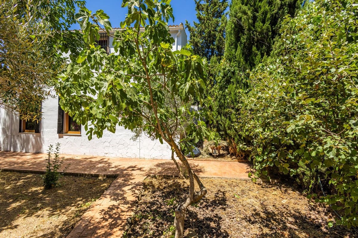 4 sypialnia Willa na sprzedaż w Archidona z basenem - 390 000 € (Ref: 9961866)