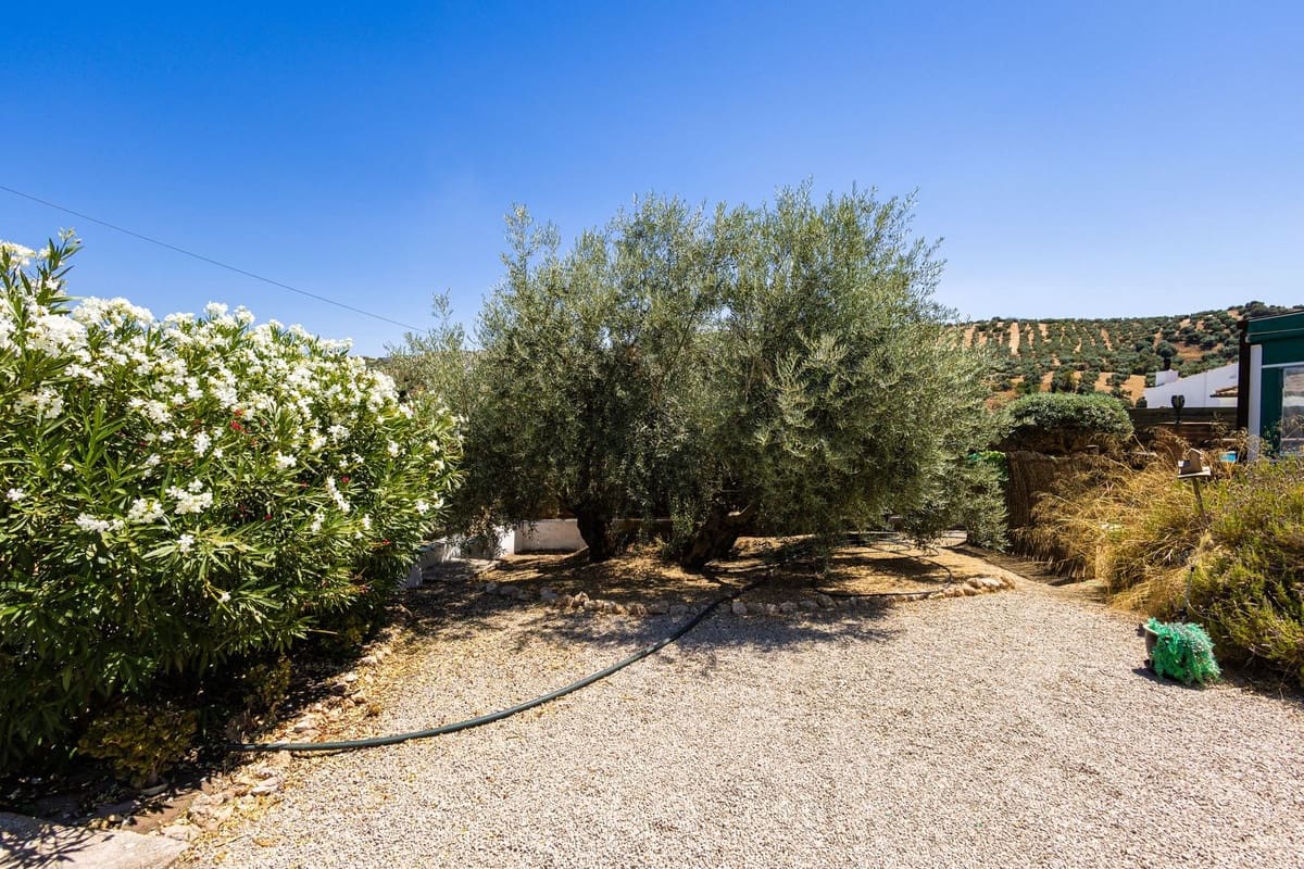 3 soverom Finca/Herregård til salgs i Villanueva de Algaidas med svømmebasseng garasje - € 265 000 (Ref: 9973813)