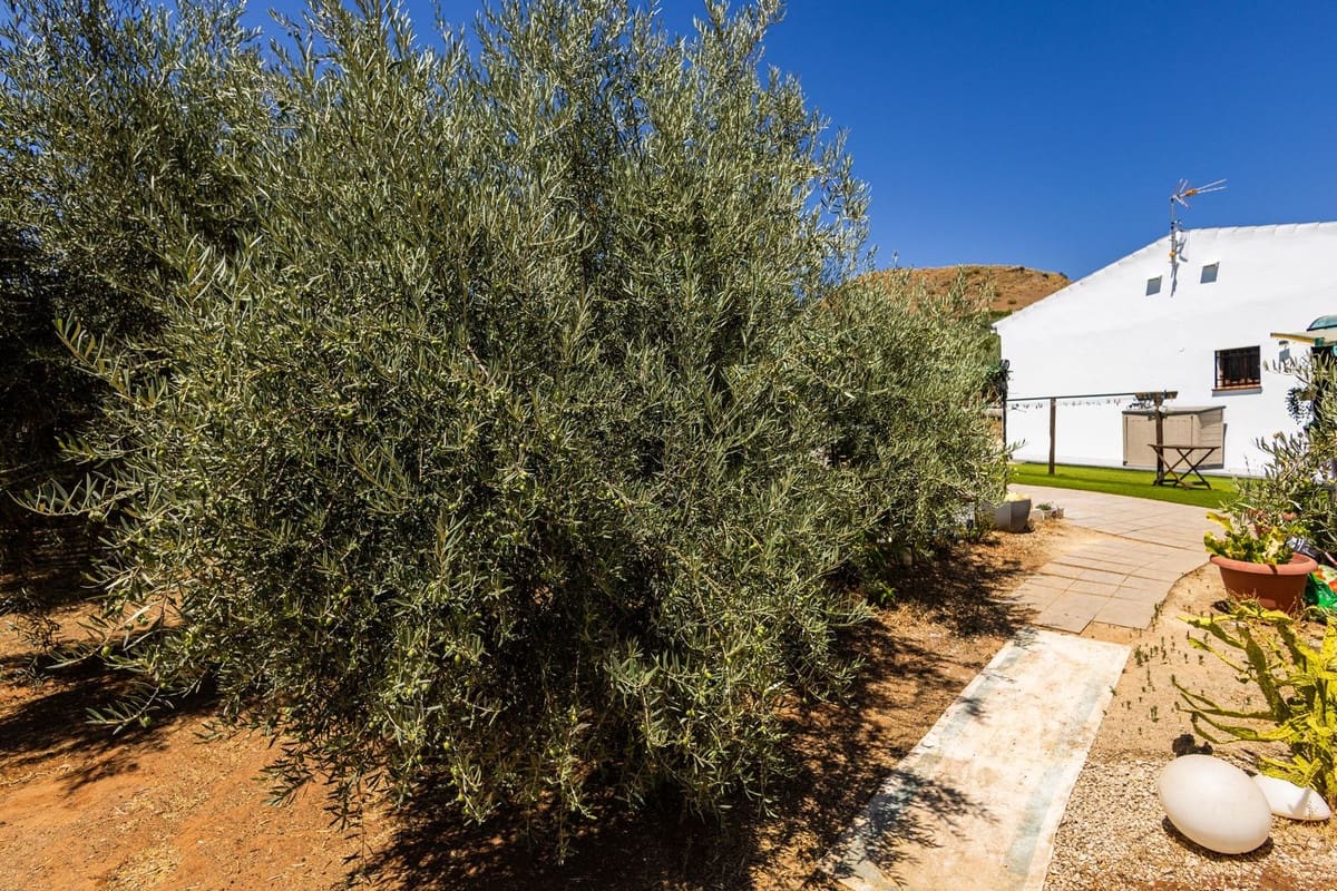 3 soverom Finca/Herregård til salgs i Villanueva de Algaidas med svømmebasseng garasje - € 265 000 (Ref: 9973813)