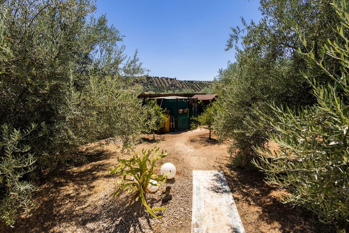 3 soverom Finca/Herregård til salgs i Villanueva de Algaidas med svømmebasseng garasje - € 265 000 (Ref: 9973813)