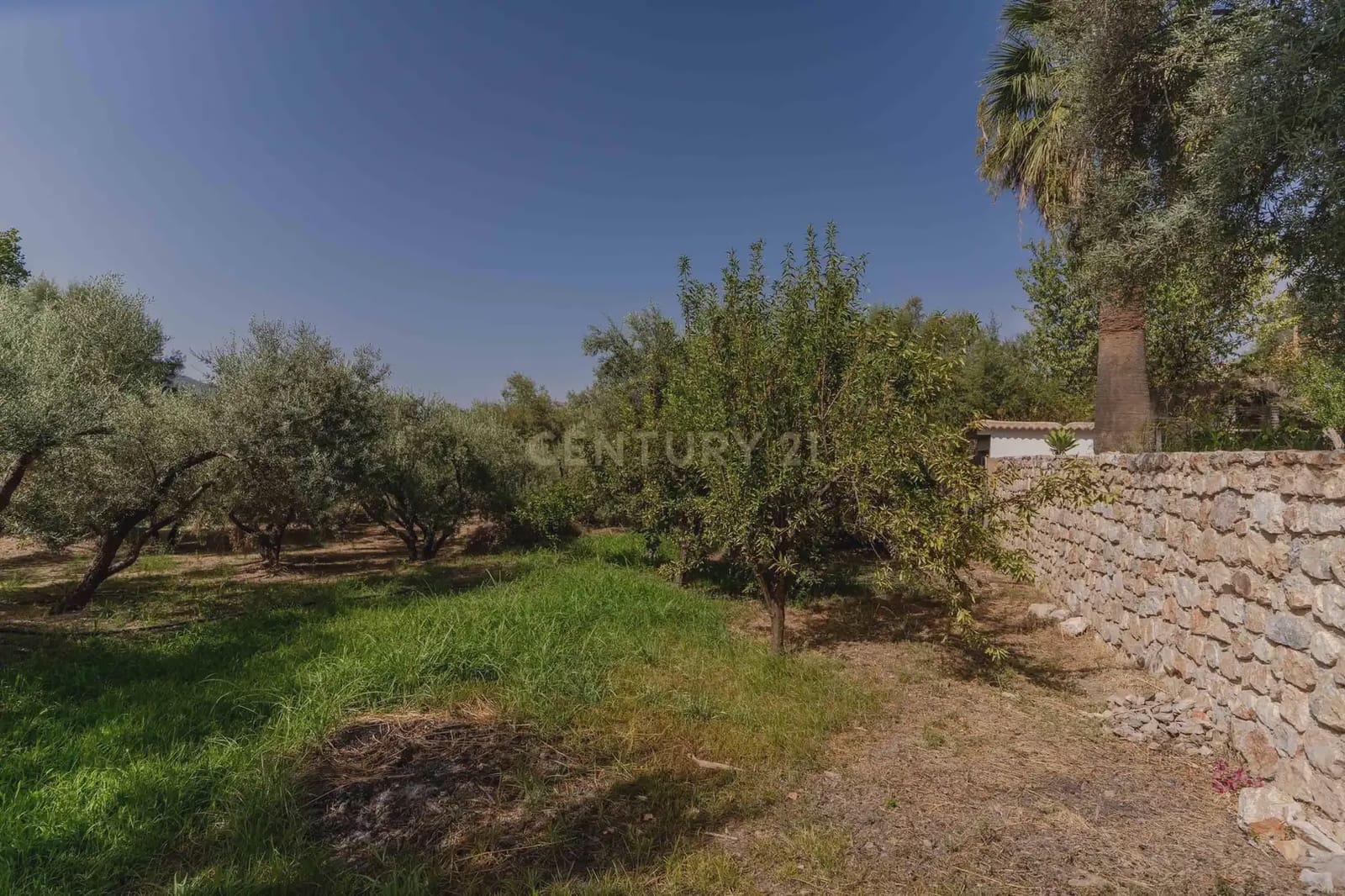 3 slaapkamer Finca/Landhuis te koop in Orgiva met zwembad - € 495.000 (Ref: 10035727)