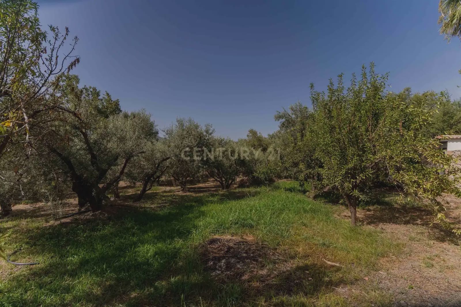 3 slaapkamer Finca/Landhuis te koop in Orgiva met zwembad - € 495.000 (Ref: 10035727)