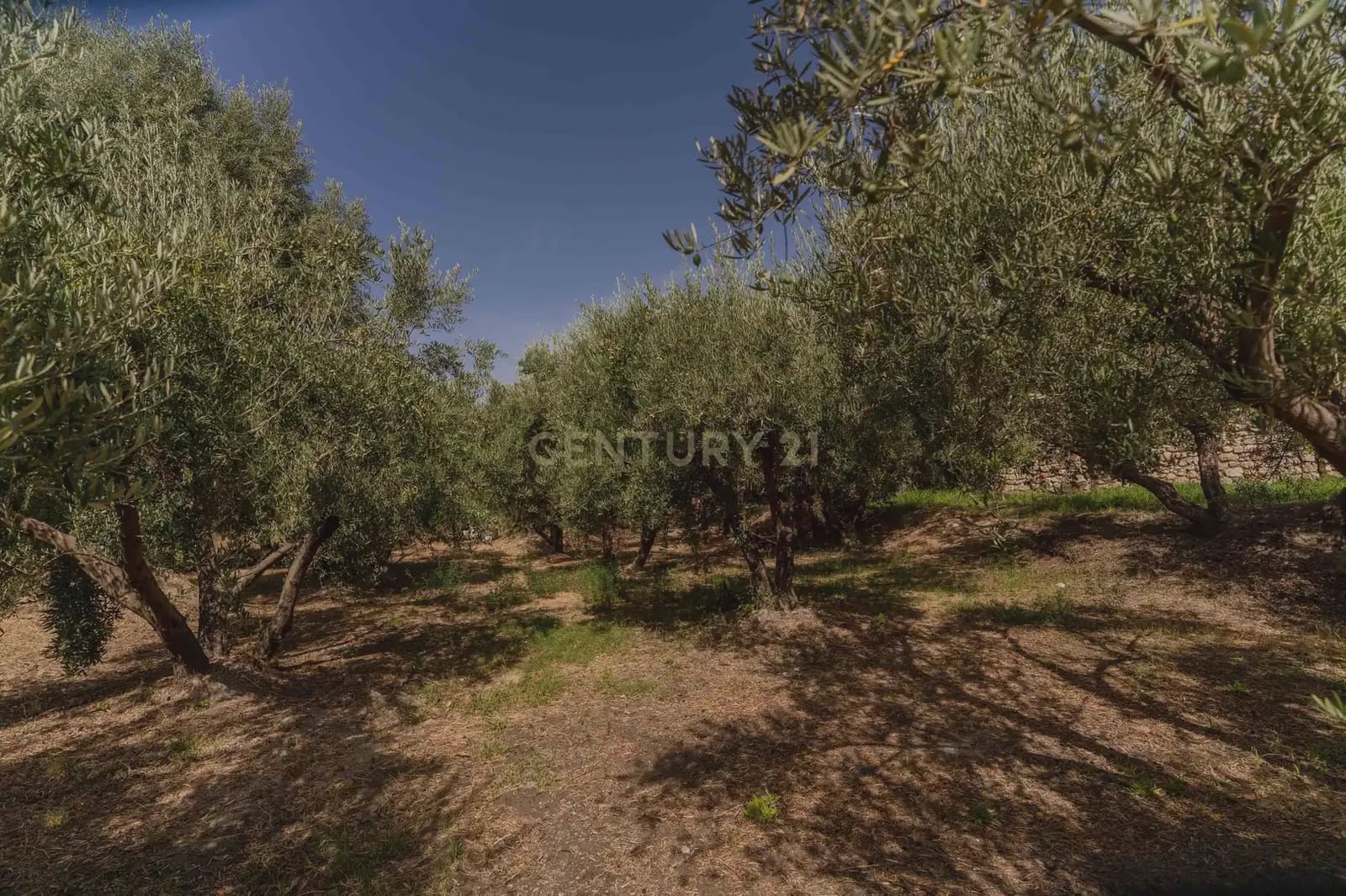 3 slaapkamer Finca/Landhuis te koop in Orgiva met zwembad - € 495.000 (Ref: 10035727)