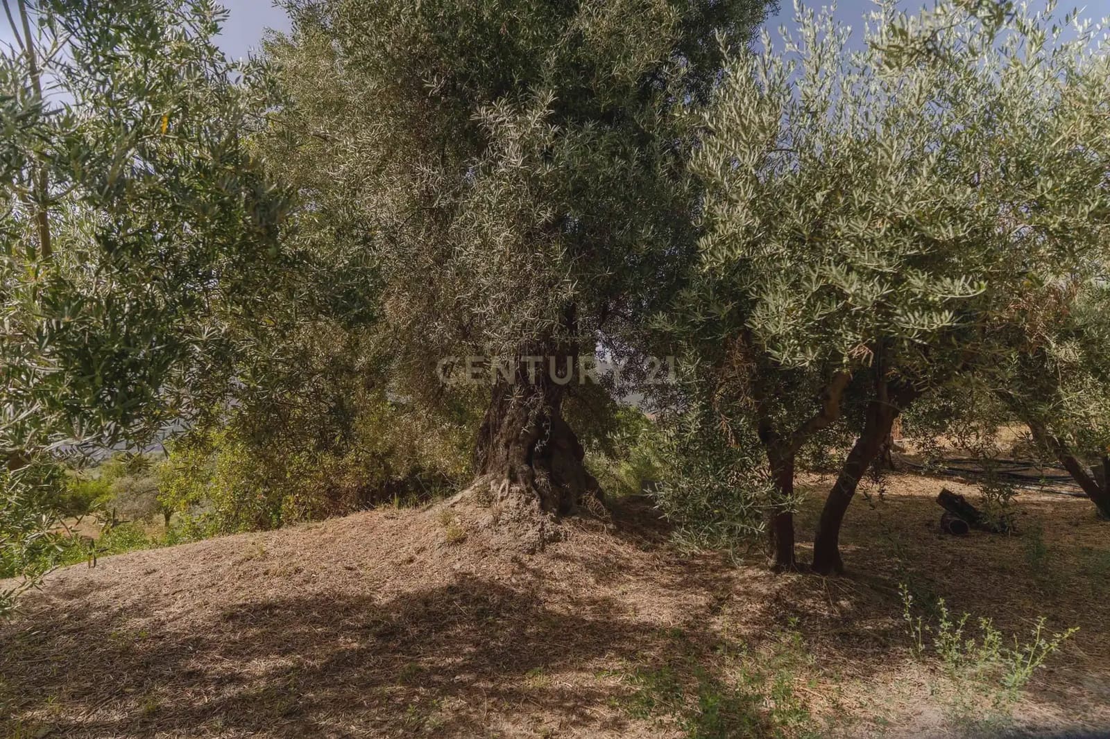 3 slaapkamer Finca/Landhuis te koop in Orgiva met zwembad - € 495.000 (Ref: 10035727)
